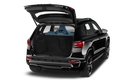 trunk