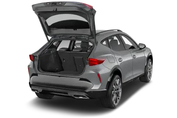 trunk