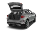 trunk