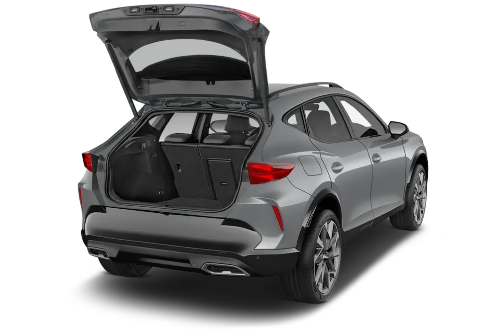 trunk