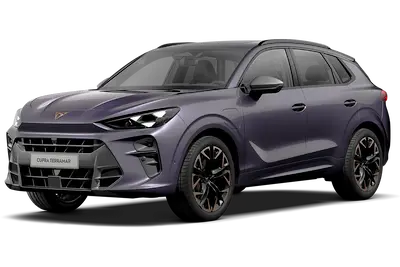 Cupra Terramar