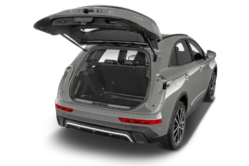 trunk