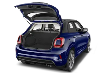 trunk