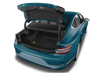 trunk