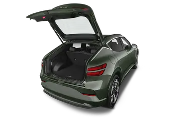 trunk