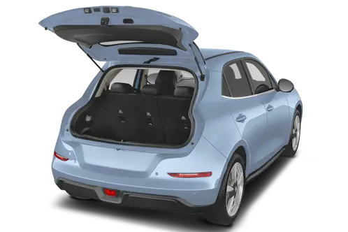 trunk