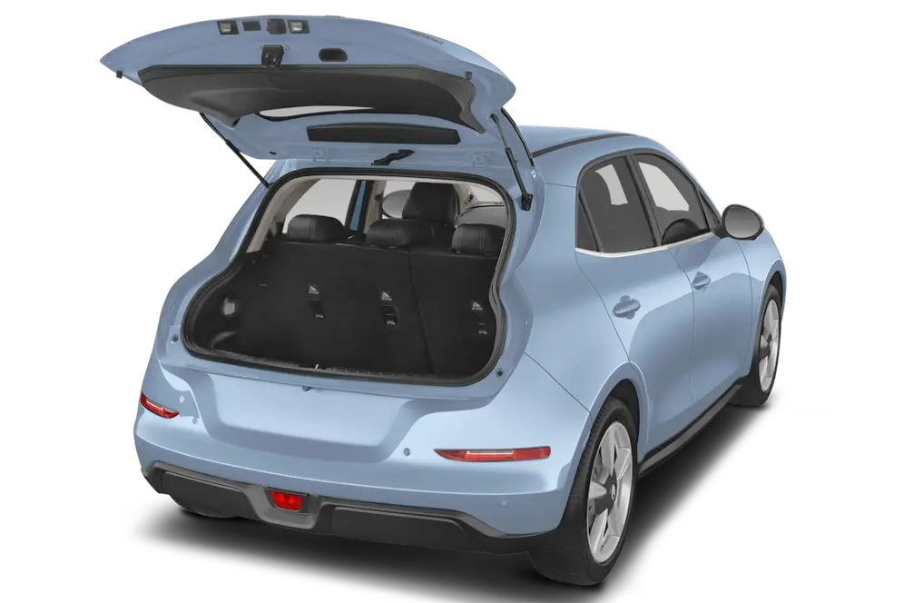 trunk