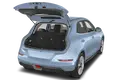 trunk