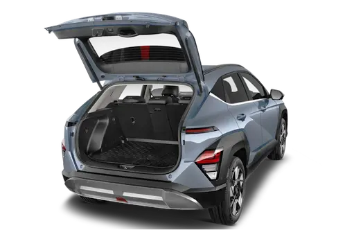 trunk