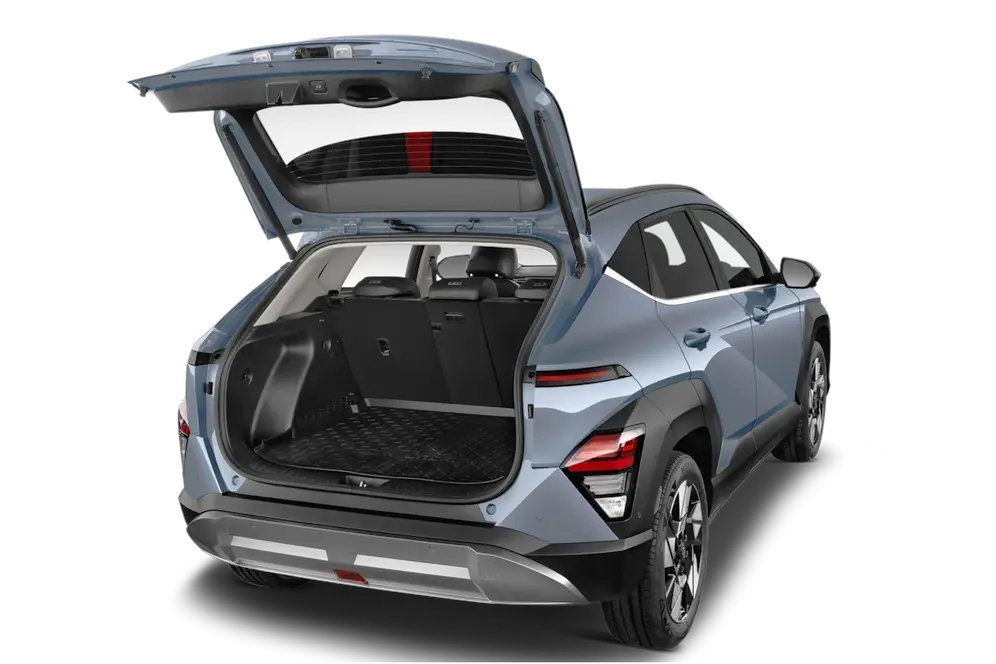 trunk