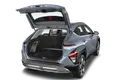 trunk