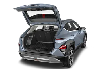 trunk