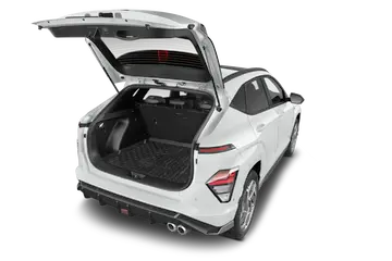 trunk