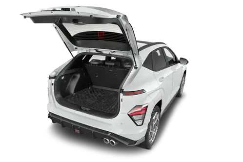 trunk