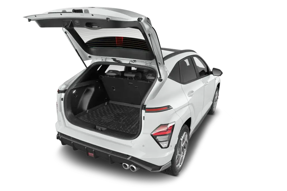 trunk