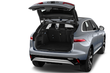 trunk