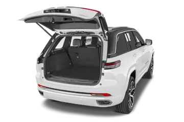 trunk