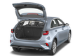 trunk