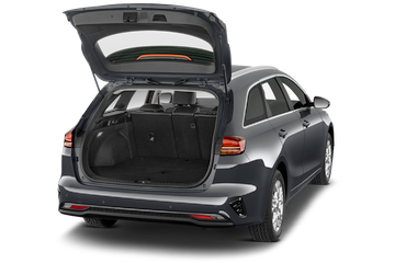 trunk
