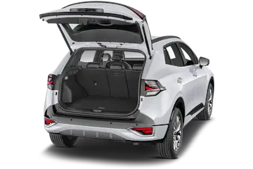 trunk