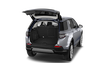 trunk
