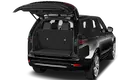 trunk
