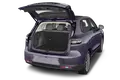 trunk