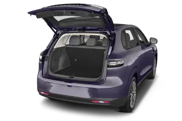 trunk