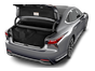 trunk