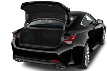trunk