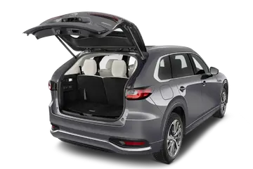 trunk