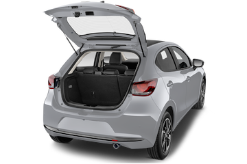 trunk