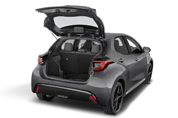 trunk
