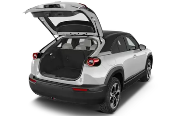 trunk