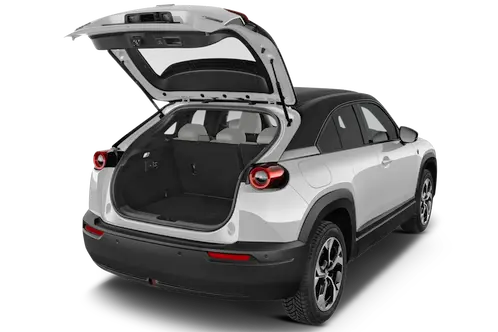 trunk