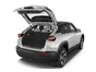 trunk
