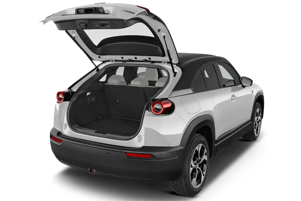 trunk