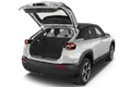 trunk