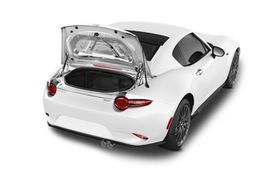 trunk