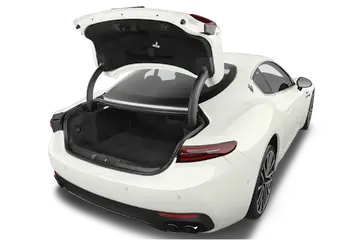 trunk