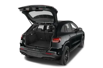 trunk