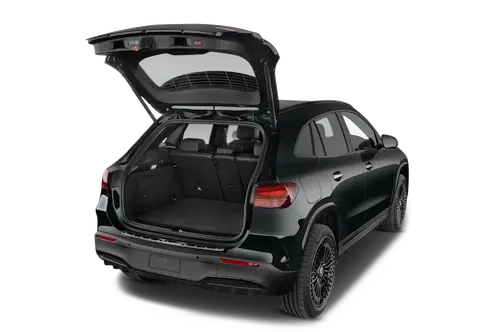 trunk