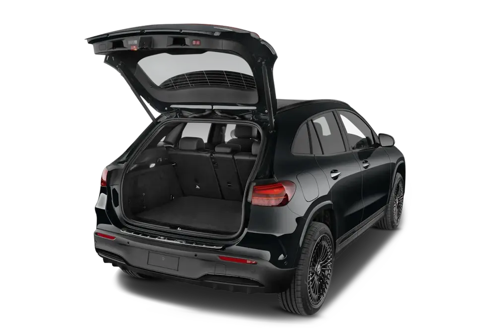 trunk