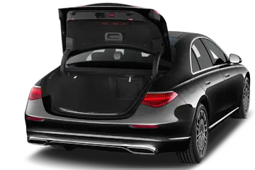 trunk