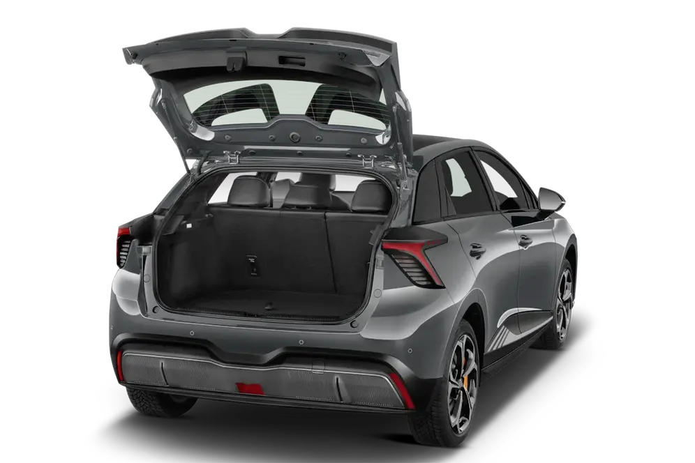 trunk