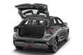 trunk