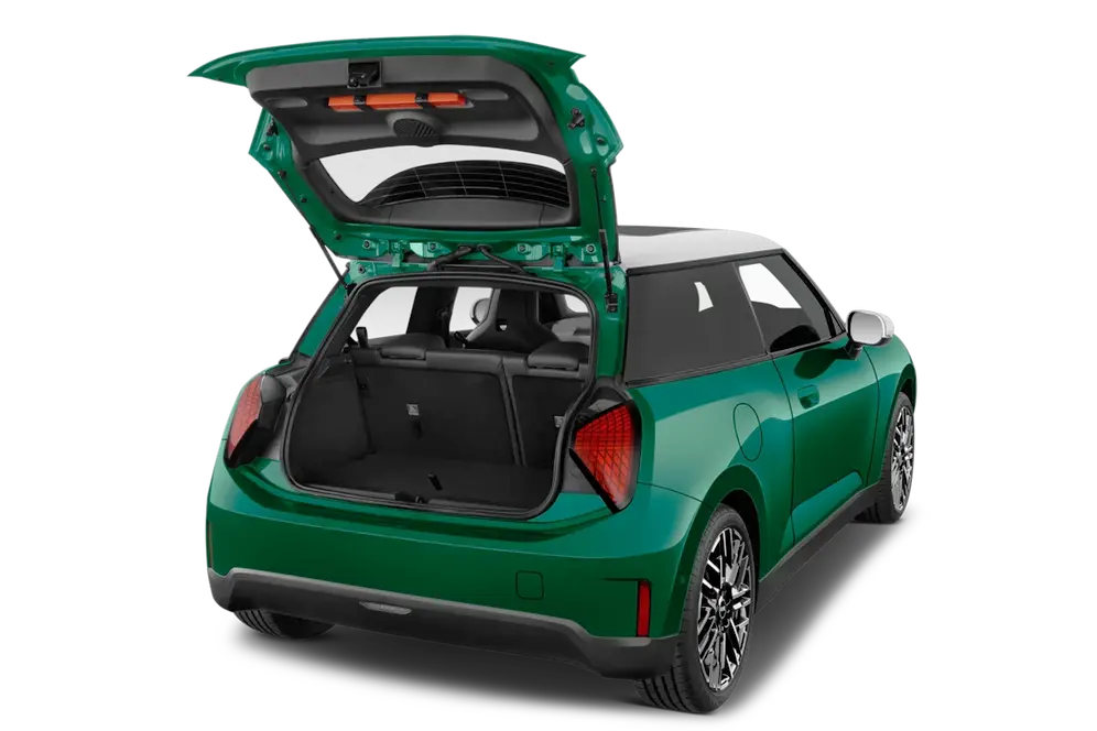 trunk