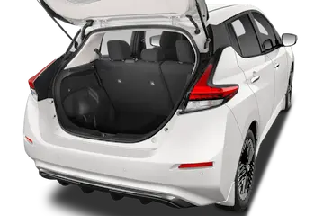 trunk