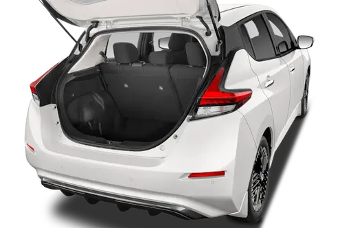 trunk