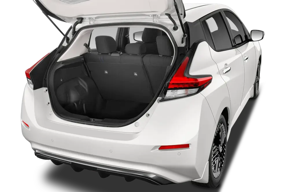 trunk